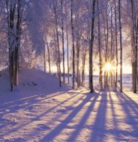 Winter Solstice Online 2020 Event